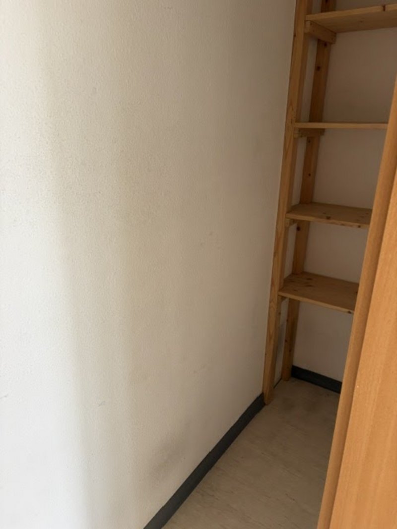 Schöne 2-Zimmer Wohnung in Dresden-Albertstadt